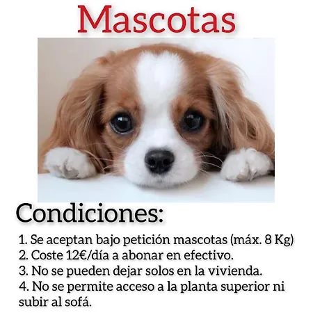 Campillin Lado Ayuntamiento Www Venaoviedo Es Apartment